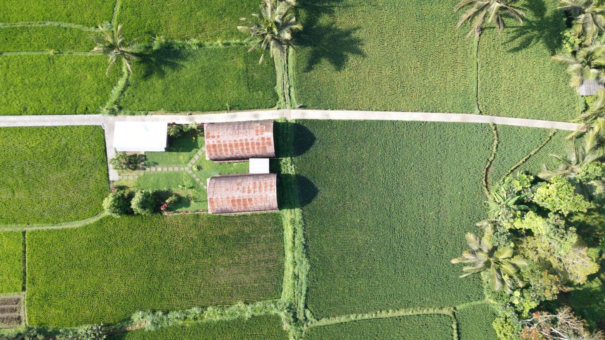 Bale Tetebatu Villa Exterior photo